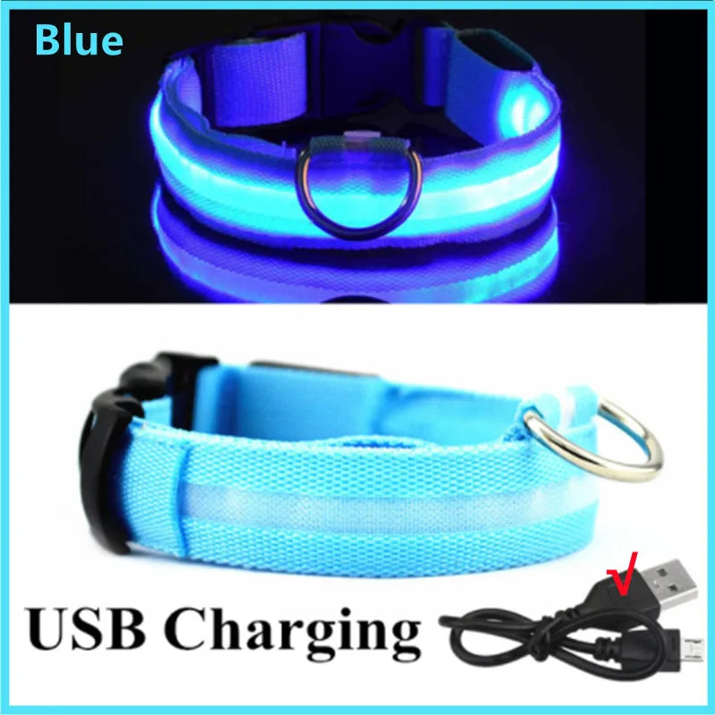 Zgardă LED Reîncărcabilă USB pentru Câini și Pisici — Vizibilitate Noapte