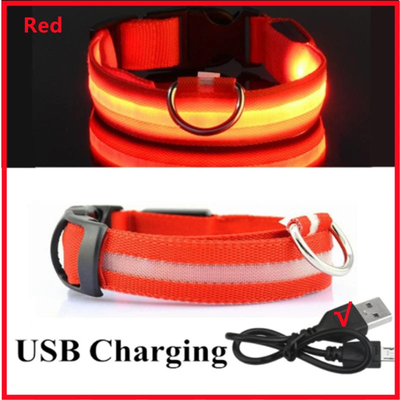 Zgardă LED Reîncărcabilă USB pentru Câini și Pisici — Vizibilitate Noapte