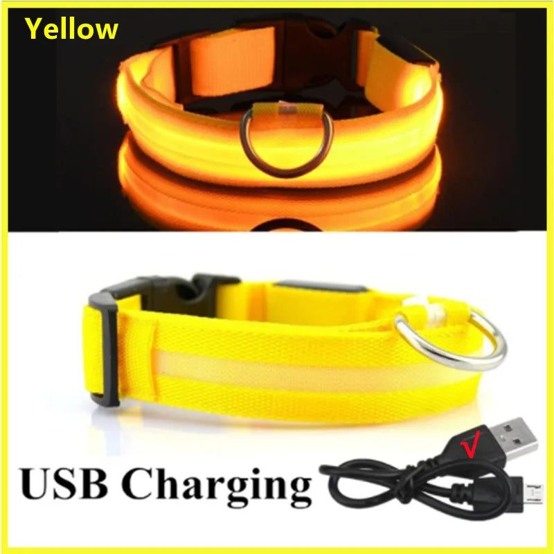 Zgardă LED Reîncărcabilă USB pentru Câini și Pisici — Vizibilitate Noapte