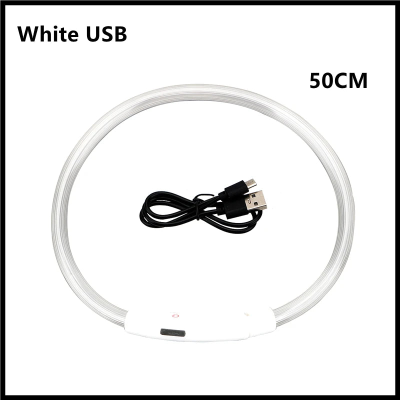 Zgardă LED Reîncărcabilă USB pentru Câini și Pisici — Vizibilitate Noapte
